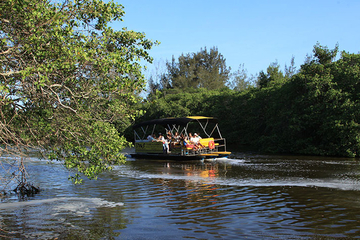 Pantanal Carioca Sightseeing Boat Tour in Rio de Janeiro