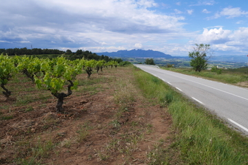 Penedes 4x4 Tour from Barcelona Including Wine Tasting