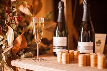 Penedes and Pla de Bages Winery Tour from Barcelona
