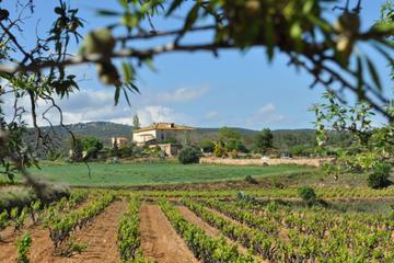 Penedes Region Wine and Food E-bike Tour with Transport from Barcelona