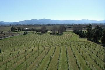 Picton Shore Excursion: Marlborough Wine Region Small-Group Tour