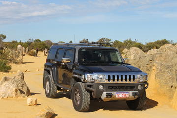 Pinnacles 4WD Hummer Day Tour from Perth Including Moore River Guilderton Cervantes Caversham Wildlife