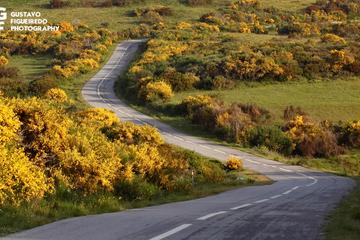 Porto - Santiago Compostela Bike Tour