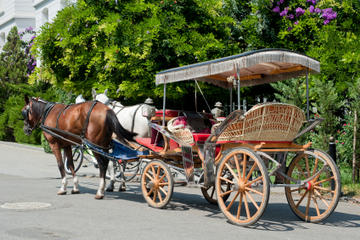 Princes Island Tour from Istanbul: Buyukada