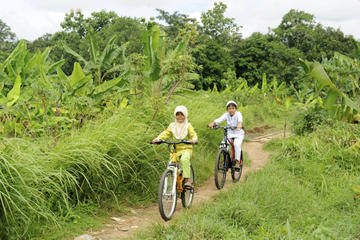 Private Bike Tour of Bongkasa Village