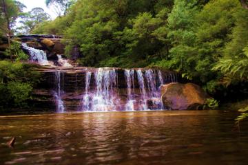 Private Blue Mountains Day Trip by 4WD from Sydney or the Blue Mountains