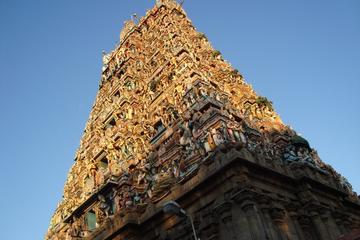 Private Chennai Tour: San Thome Church, Kapaleeshwar Temple, Marina Beach and Ripon Building