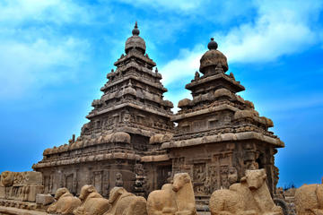 Private Cultural Tour: Day Trip to Mahabalipuram and Dakshinachitra from Chennai