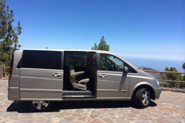 Private Custom Day Tour in Tenerife