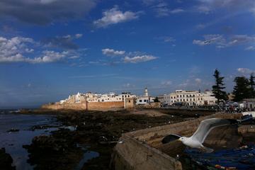 Private Day Trip: Marrakech to Essaouira