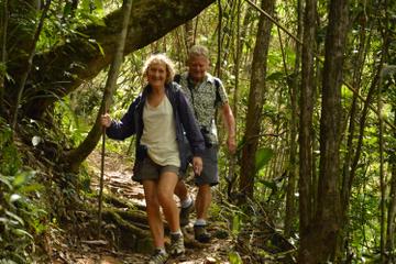 Private Day Trip to Bach Ma National Park from Hue