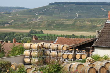 Private Day Trip to Champagne from Paris
