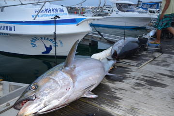 Private Full-Day Big Game Fishing