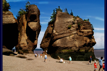 Private Full Day Tour to Hopewell Rocks from St John