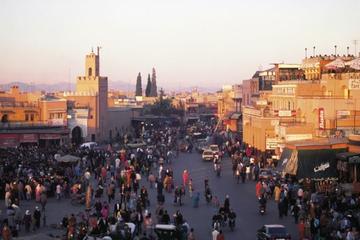 Private Guided City Tour of Marrakech