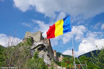 Private Guided Day Tour of Medieval Romania from Bucharest