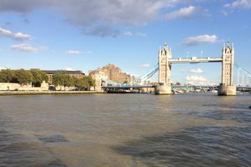 Private Guided Tour: Tower of London
