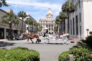 Private Horse Drawn Carriage Tour