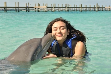 Private Island Dolphin Swim from Nassau
