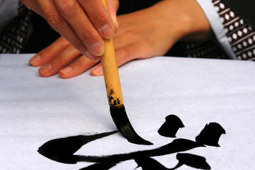 Private Japanese Arts and Culture Tour : Aikido, Calligraphy, Manga and Sake Brewery
