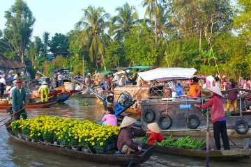 Private Mekong Delta Tour