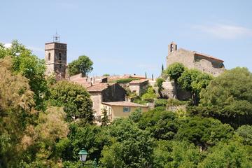 Private One Way or Round-Trip Transfer from Saint-Raphael to Montauroux