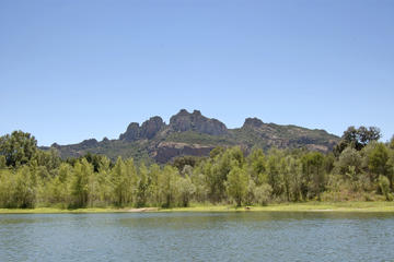 Private One Way or Round-Trip Transfer from Saint-Raphael to Puget sur Argens