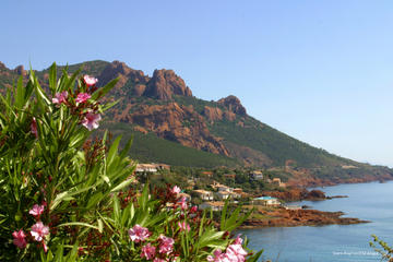 Private Round-Trip Transfer from Saint-Raphael to Bagnols en Foret