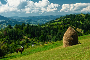Private Round-Trip Transfer to Your Choice of Location from Bucharest