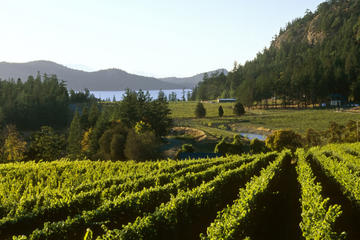 Private Tour: 3-Day Wine-Tasting Tour Through Victoria and the Gulf Islands