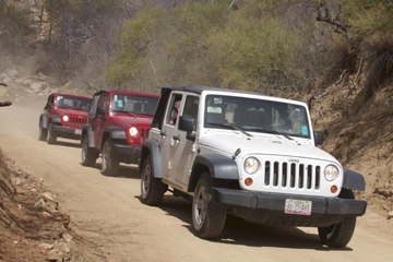 Private Tour: 4X4 Jeep Adventure from Los Cabos