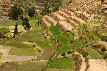 Private Tour: Arequipa Countryside Tour Including Sabandia Mill and Founder's Mansion