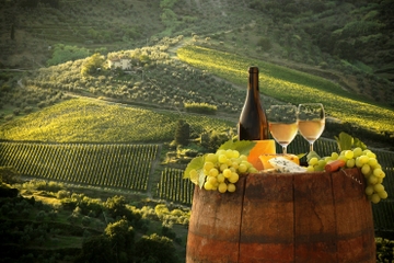 Private Tour: Arrábida Wine and Landscape Tour with tastings