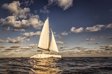 Private Tour: Catamaran Sailing and Snorkeling in Isla Mujeres