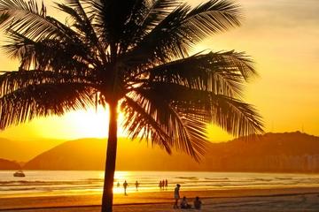 Private Tour: Coffee and Beaches Day Trip from São Paulo