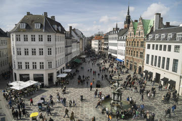 Private Tour: Copenhagen Full-Day Walking Tour