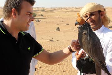 Private Tour: Dubai Falconry Experience with Wildlife Drive and Optional Breakfast