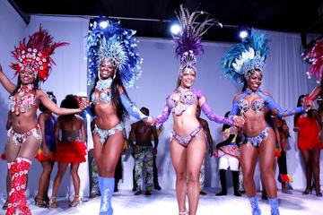 Private Tour: Ginga Tropical Samba Show Including Transport