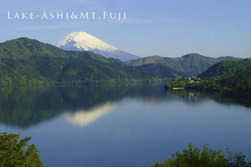 Private Tour: Hakone Sightseeing with Optional Hot Springs Experience