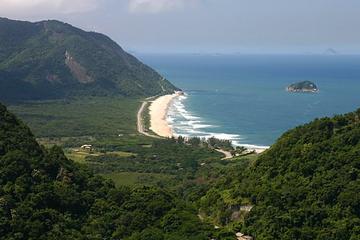 Private Tour: Rio Overview Including Botanical Garden, Beaches and Forest