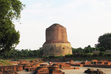 Private Tour: Sarnath Day Tour including Sarnath Museum