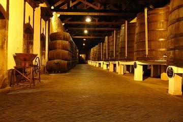 Private Tour: Évora Day Trip from Lisbon