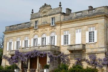 Private Tour: Wine Harvest and Tasting Trip from Bordeaux