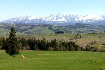 Private Tour: Zakopane and Tatra Mountains Day Trip from Krakow