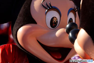 Private Transfer: Disneyland Resort Paris