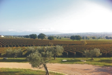 Private Tuscany Wine Tour Experience from Florence