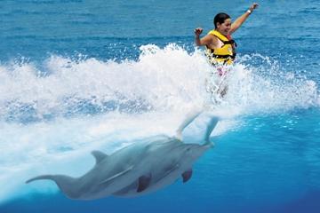 Puerto Vallarta Shore Excursion: Swimming with Dolphins