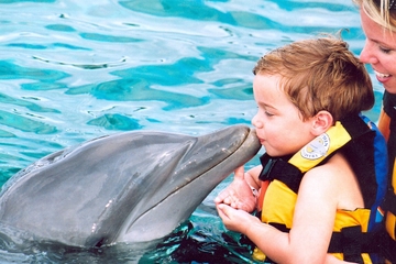 Punta Cana Dolphin Encounter