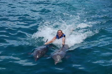 Punta Cana Dolphin Swim Adventure with Upgrade to Royal Dolphin Swim