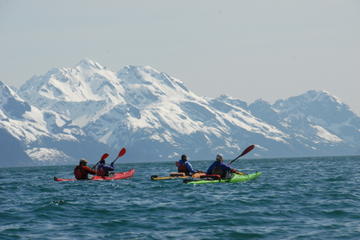 Resurrection Bay Sea Kayaking Tour